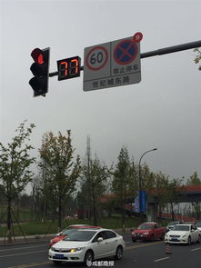 成都路牌现“未读消息小红点”创意设计，网友点赞却面临整改